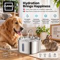 ZUNNO™ Smart Pet Water Fountain | Fuente Inteligente para Mascotas 2.2L