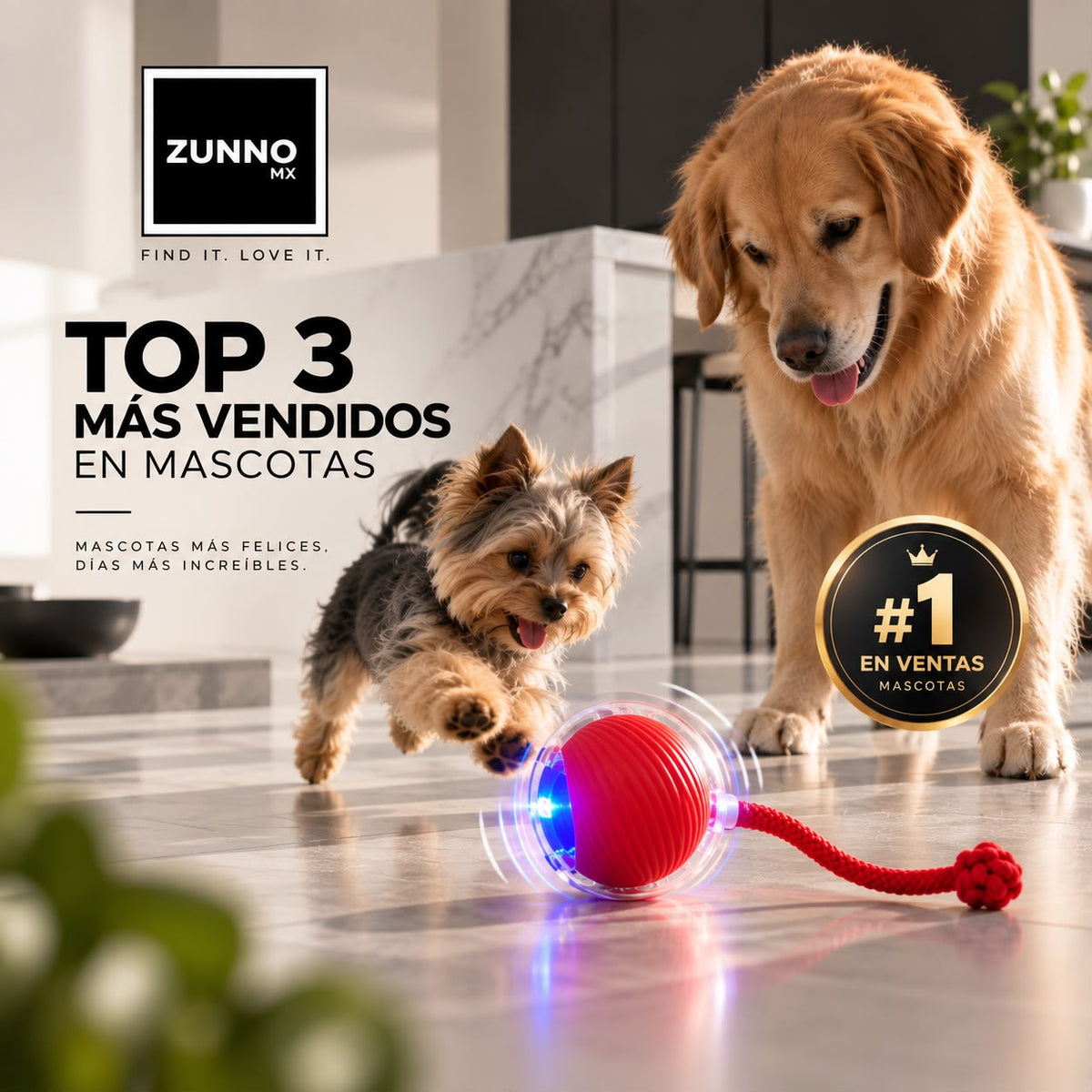 ZUNNO™ / BOLA INTERACTIVA 360 PARA GATOS